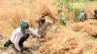 vbgramg yojana | latest news | hindi news | lok sabha | mgnrega