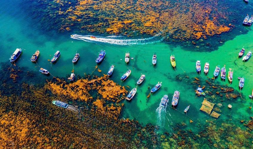 Cheap Vietnam travel from India