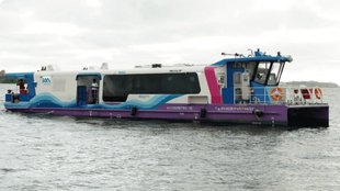 GOKUL TO VRINDAVAN, MATHURA NEWS, YAMUNA RIVER