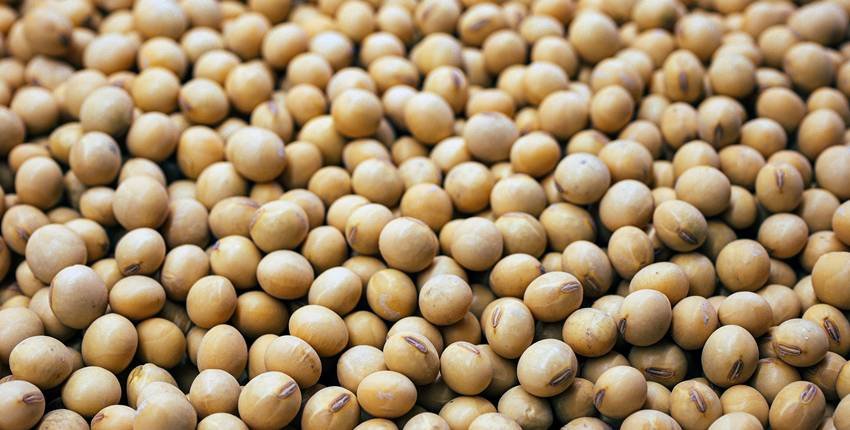 Pharmaceutical exports to Ethiopia