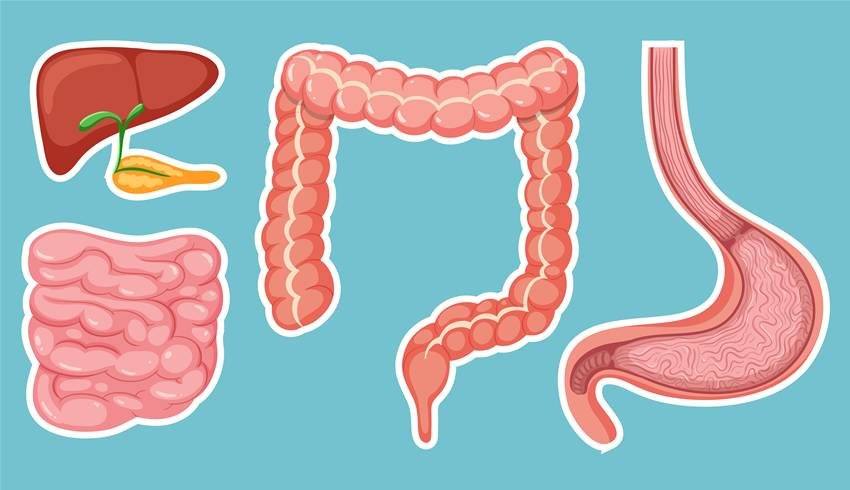 people who should avoid ghee