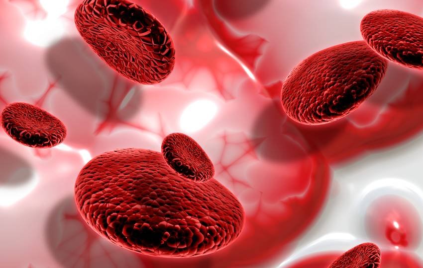 bedtime milk myths and facts