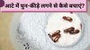 आटे में घुन या कीड़े न पड़े इसके लिए क्या करें? सर्दियों में धूप न निकलने पर इस तरह करें बचाव