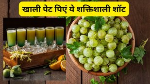 benefits of drinking amla and ginger juice every morning | Healthy tonic recipe for for weight loss | What happens if I drink amla shots every day