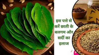 छाती में बलगम जम रहा है, इस पत्ते पर लौंग समेत इन 3 चीजों को रखकर चबा लें