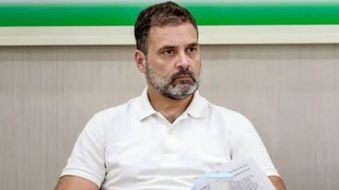 bihar | congress | rahul gandhi |