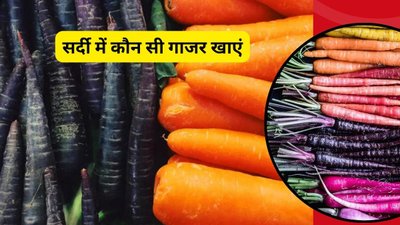 सर्दी में कौन सी गाजर खाएं लाल या काली, किस रंग की Carrot है फायदेमंद