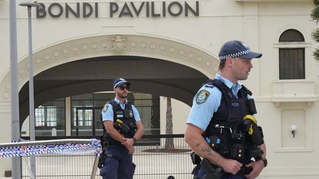 bondi beach shooting, bondi beach attack, bondi beach attackers mother,