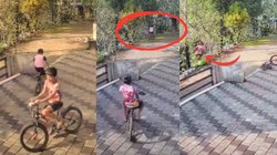 साइकिल चलाते हुए गहरी खाई में गिरा छोटा भाई, देखते ही बड़े भइया ने दौड़कर फौरन लगा दी छलांग; Video Viral