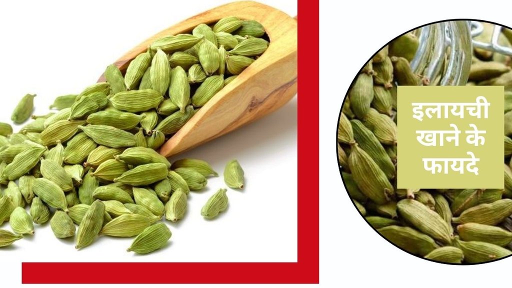 Cardamom benefits, Cardamom for digestion, Cardamom for blood pressure, Cardamom for bad breath, Cardamom for cold and cough, Ayurvedic cardamom uses, Cardamom benefits, Cardamom for digestion, Cardamom for blood pressure, Cardamom for bad breath, Cardamom for cold and cough, Ayurvedic cardamom uses,