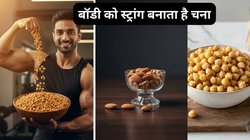 महंगे बादाम-अखरोट छोड़िए! रोज सुबह खाएं मुट्ठी भर भुने चने, घोड़े जैसी ताकत और फौलादी बन जाएगी बॉडी