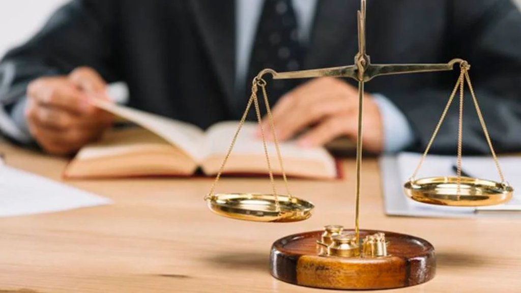 delhi bar council | fake lawyers | delhi | delhi bar council | fake lawyers | delhi |