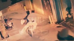 दिल्ली में ‘बिल्ला’ को बाइक से दौड़ाकर गोली मारने का CCTV live Video Viral, फिल्मी स्टाइल में बंदूक लेकर बदमाश करते रहे पीछा