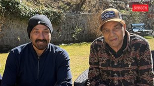 dharmendra, sunny deol