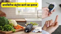 Winter Diabetes Care: सर्दियों में नहीं बढ़ेगा ब्लड शुगर! डायबिटीज मरीज डाइट में शामिल करें ये 5 नॉन-स्टार्ची सब्जियां, रिसर्च ने माना सुपरफूड