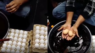 egg, fake egg, viral video