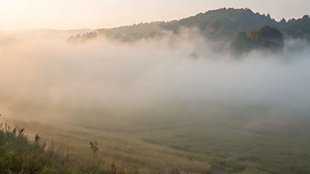 fog news, fog khabar, mist