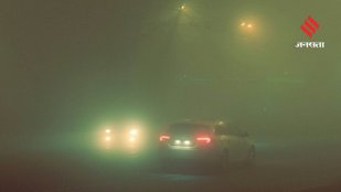fog weather safety rules