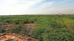 forest land| delhi news