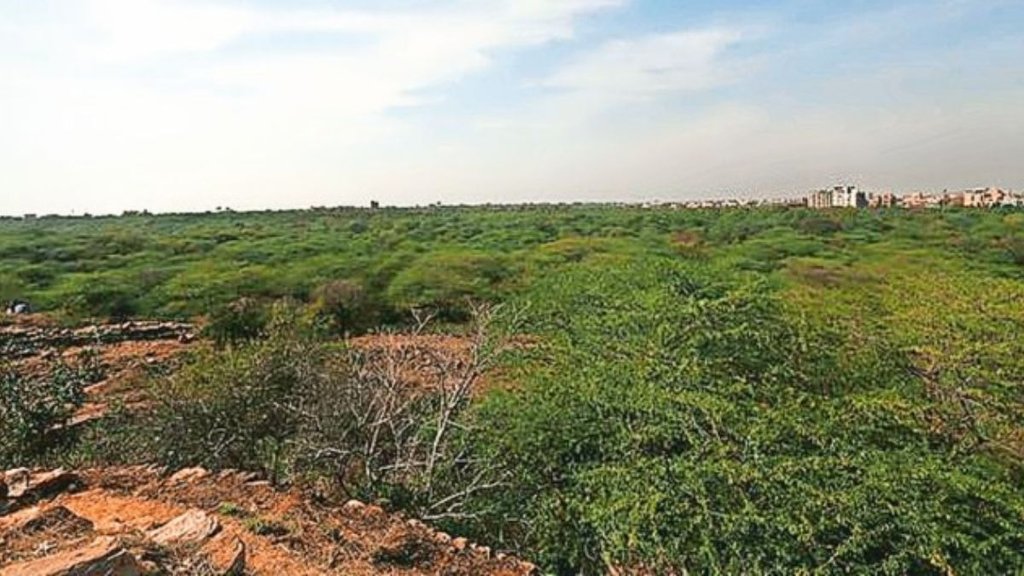 forest land| delhi news