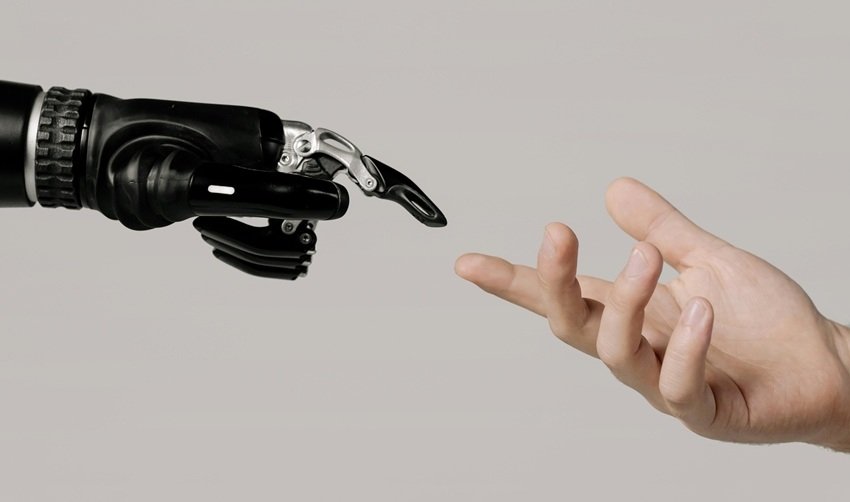 garden snail teeth facts