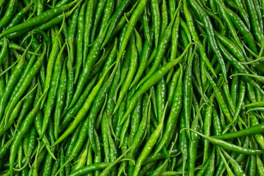 green chili benefits