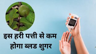 amarood ke patte ke fayde, blood sugar kam karne ke upay, guava leaves for diabetes, diabetes control karne ke gharelu upay,amarood ke patte diabetes mein, blood sugar level kaise kam kare, natural sugar control tips, amarood ke patte se blood sugar kaise kam hota hai, diabetes mein amarood ke patte ka istemal, guava leaf tea benefits, diabetes home remedy hindi, ayurvedic treatment for diabetes, blood sugar natural control hindi, guava leaves, benefits of guava, benefits of guava leaves, tips to control blood sugar, diabetes, diabetes diet tips