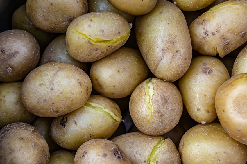 health benefits of boiled potatoes