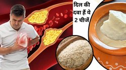 नसों में जमा खराब कोलेस्ट्रॉल होगा साफ! दही में मिलाकर खाएं ये 1 चीज़, मल के साथ बाहर निकल जाएगा चिपका हुआ चर्बी जैसा कोलेस्ट्रॉल, आयुर्वेद का नुस्खा