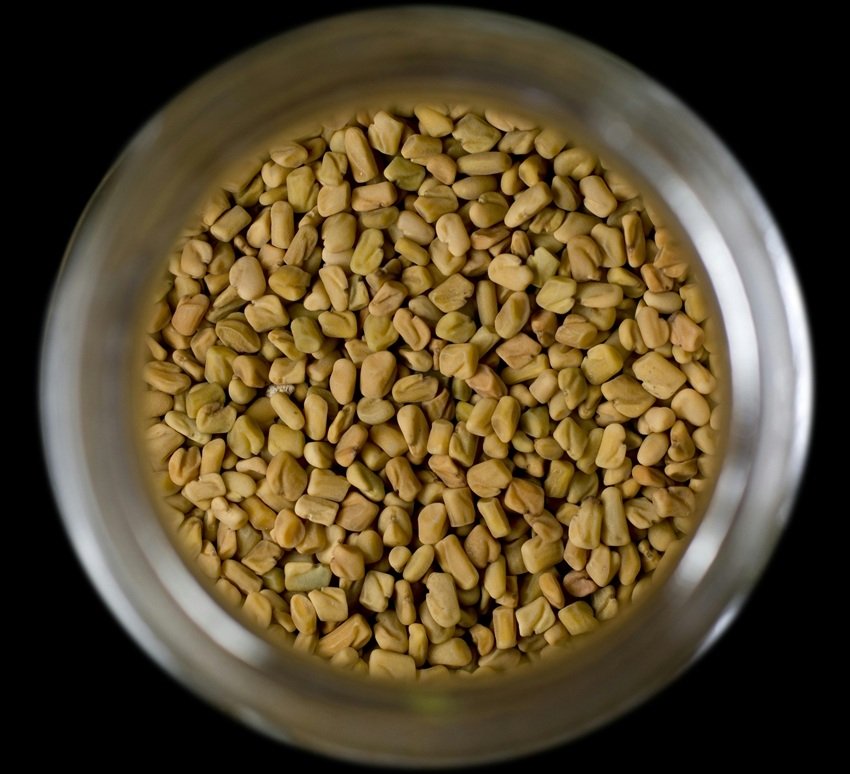 herbal remedy for high blood sugar