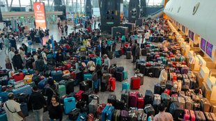 indigo, indigo news, airlines