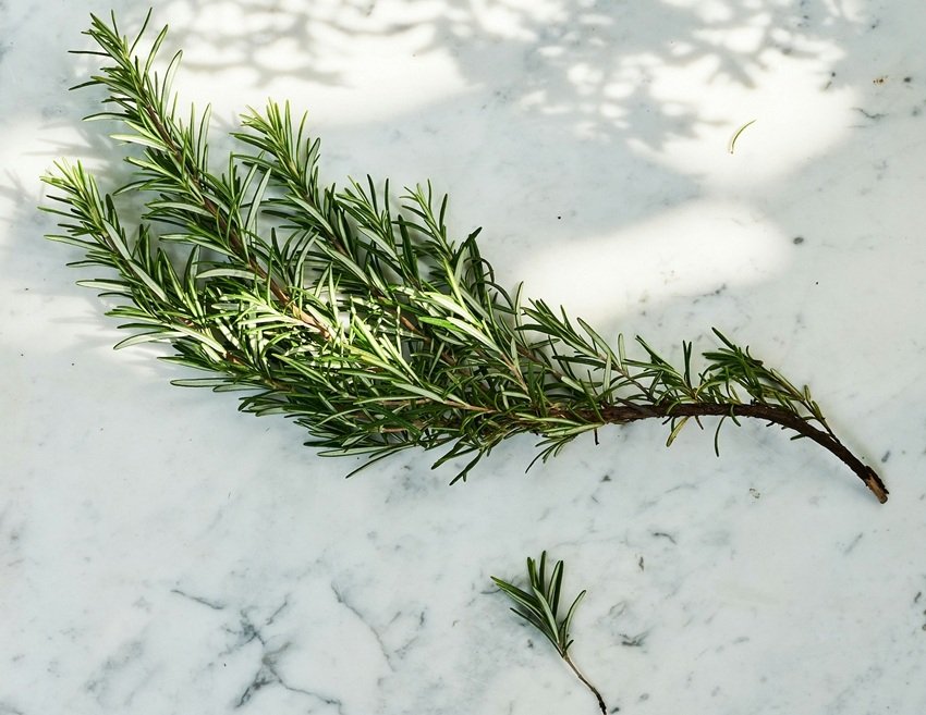 insulin sensitivity improvement