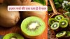 प्रोटीन का पावरहाउस है ये फल, सर्दी में रोज़ खाये वज़न रहेगा कंट्रोल, कमजोरी और थकान का भी होगा इलाज