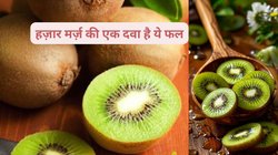 प्रोटीन का पावरहाउस है ये फल, सर्दी में रोज़ खाये वज़न रहेगा कंट्रोल, कमजोरी और थकान का भी होगा इलाज