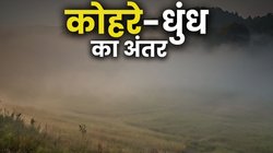 कोहरे और धुंध में क्या अंतर होता है? यहां आसान भाषा में समझ लो