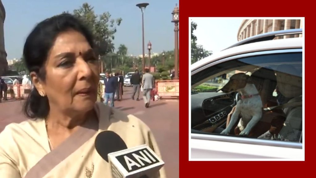 renuka, dog, winter session