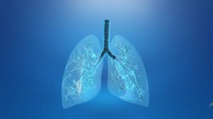 lungs health tips, breathing problem solution, immunity boost for lungs, lungs care in winter, फेफड़ों में जमा बलगम कैसे निकालें, सांस की समस्या में घरेलू उपाय, फेफड़ों की गंदगी साफ करने के नेचुरल तरीके, खांसी और बलगम से राहत के उपाय, lungs detox remedies in hindi, बलगम निकालने के घरेलू उपाय, फेफड़े साफ करने के उपाय, सांस लेने में दिक्कत का इलाज, lungs detox at home, natural remedies for lungs, remedies to make lungs strong and healthy, what to eat to remove waste from lungs, diet plan for lungs, remedies to prevent lungs from getting damaged, remedies to keep lungs and breath pure, home remedies for clean lungs naturally, foods to make lungs clean and strong