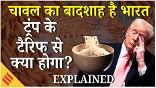 Trump on Rice Export: चावल के मामले में दुनियाभर में भारत की बादशाहत,ट्रंप के टैरिफ से क्या होगा ?