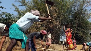 mgnrega| west bengal| supreme court