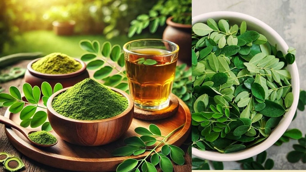 Moringa (Sahjan) benefits and side effects, Moringa for fatty liver, Iron rich foods in India, Drumstick health benefits, Who should avoid Moringa