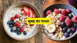 सुबह के नाश्ते में अगर खा ली मूसली तो बॉडी को भर-भर के मिलेगा फाइबर और प्रोटीन, जबर्दस्त होगा पाचन, वेट भी हो जाएगा कम