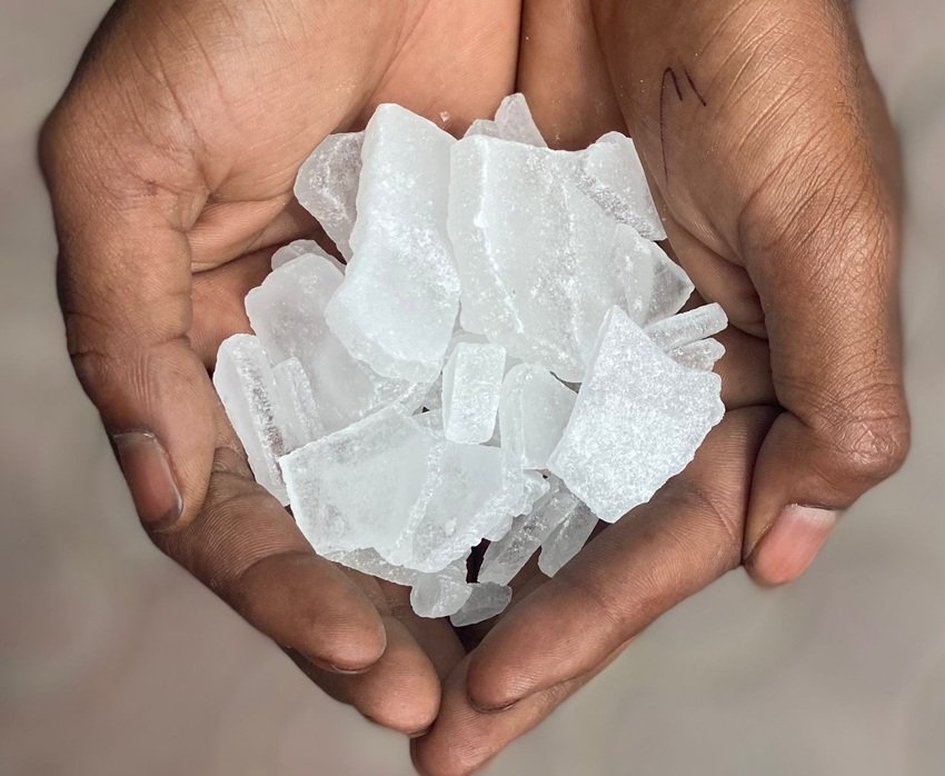 mosquito control naturally