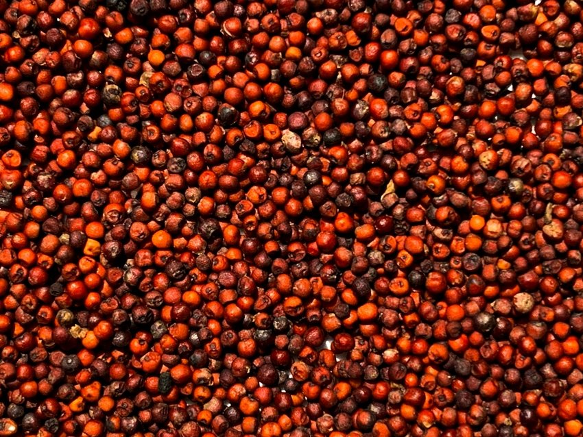 natural immunity boosters for kids