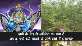 neelam gemstones, shami ki jad