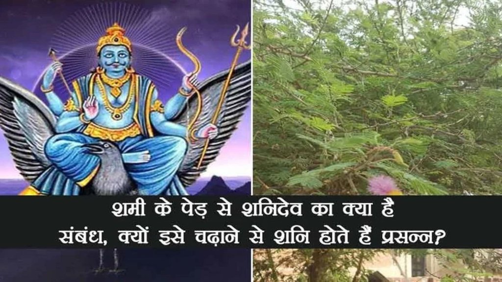 neelam gemstones, shami ki jad neelam gemstones, shami ki jad