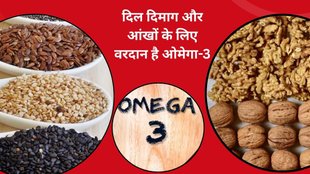 Omega-3, Foods with more Omega-3 than walnuts, Flax oil, Chia seeds, Salmon, Sardines, Mackerel, Anchovies, Trout, Seafood omega-3 sources, Plant-based omega-3