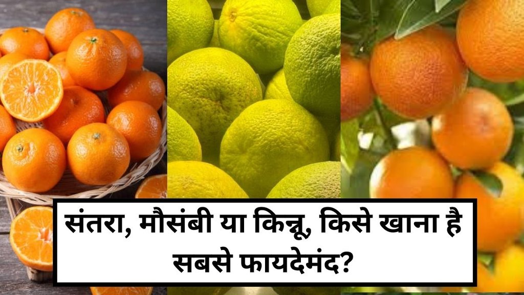 orange mosambi kinnow health benefits, orange health benefits, benefits of eating oranges, orange vitamin C benefits, orange benefits for immunity, mosambi health benefits, mosambi juice benefits, kinnow health benefits, kinnow juice health benefits, orange vs mosambi vs kinnow benefits, best citrus for vitamin C, orange mosambi kinnow which is better for health, orange mosambi kinnow me antar, health news, health benefits, health tips orange mosambi kinnow health benefits, orange health benefits, benefits of eating oranges, orange vitamin C benefits, orange benefits for immunity, mosambi health benefits, mosambi juice benefits, kinnow health benefits, kinnow juice health benefits, orange vs mosambi vs kinnow benefits, best citrus for vitamin C, orange mosambi kinnow which is better for health, orange mosambi kinnow me antar, health news, health benefits, health tips