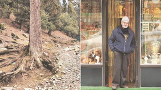 Noor Jahan, Pahalgam, Lidder Valley, Kashmir, Chillai Kalan,