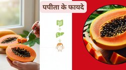 सुबह खाली पेट पपीता खाना क्यों है ‘अमृत’ के समान? पाचन से लेकर लिवर तक, शरीर में होते हैं ये 4 बड़े बदलाव
