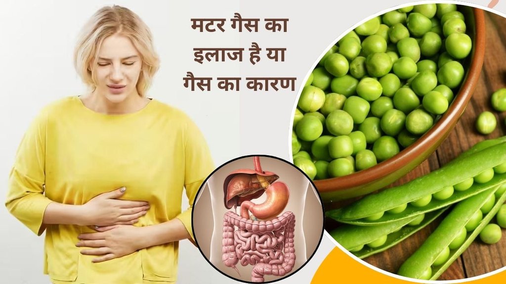 Peas gas problem, Do peas cause gas, Peas digestion issues, Peas side effects, How to eat peas for digestion, Peas bloating, Peas acidity problem, Peas for weak digestion,
